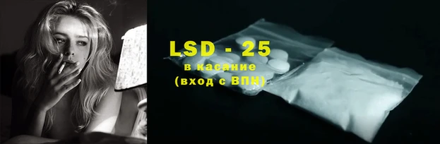 ГАЛЛЮЦИНОГЕННЫЕ ГРИБЫ Алзамай