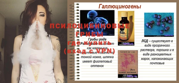 крисы Белокуриха