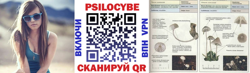 Галлюциногенные грибы мицелий  гидра онион  Новомосковск 