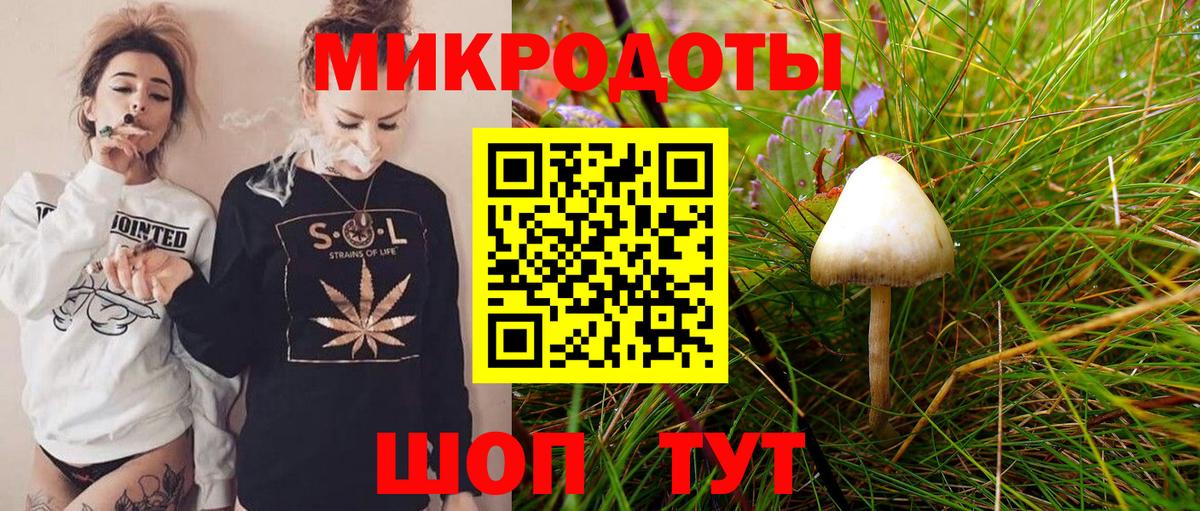 Псилоцибиновые грибы мухоморы Новомосковск
