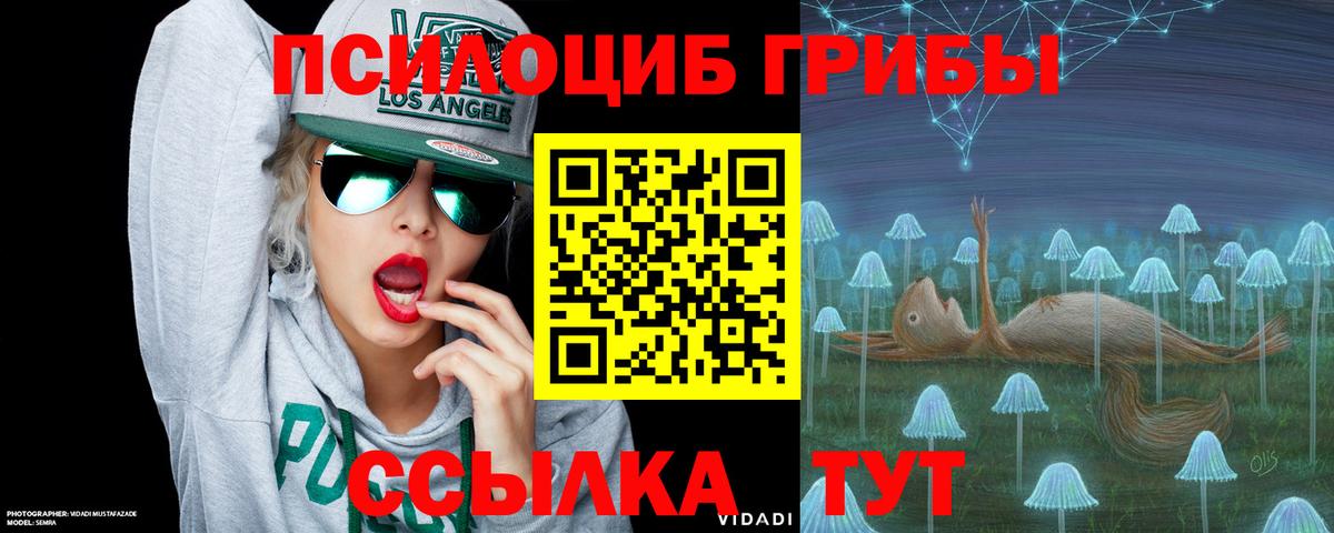 Галлюциногенные грибы Psilocybe  Вход с VPN  Новомосковск  Галлюциногенные грибы GOLDEN TEACHER 