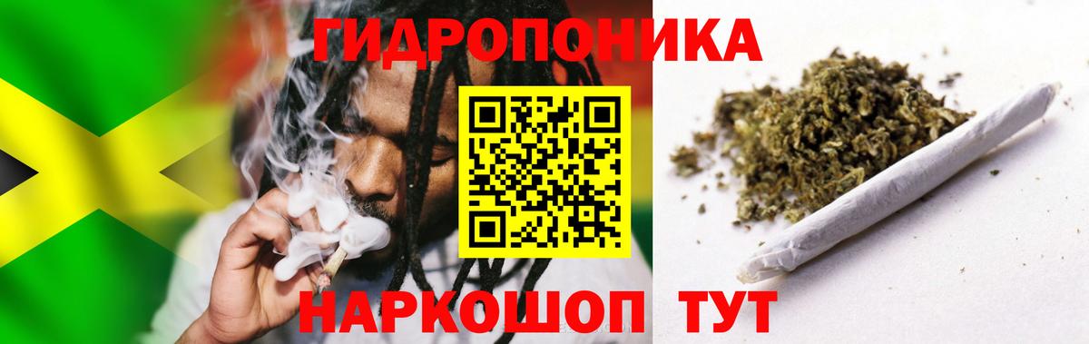 Бошки марихуана White Widow  Марихуана тримм  Вход с VPN  Бошки марихуана AK-47  Канабис SATIVA & INDICA  Новомосковск 